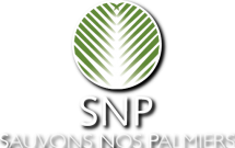 Logo_SNP