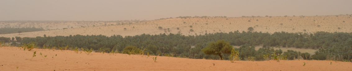 cuvette oasienne à Mao au Tchad